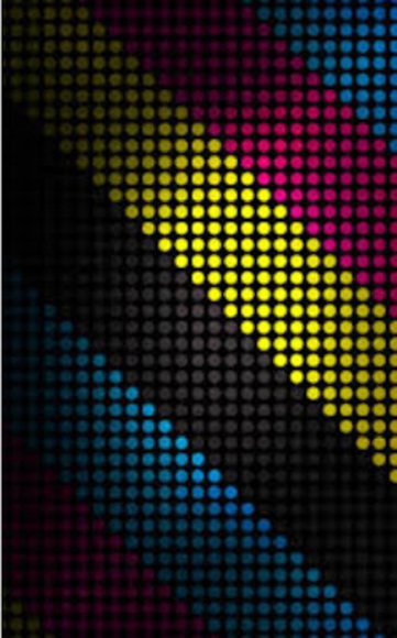 Meet your Posher, Wyatt - Picture 1 of 1